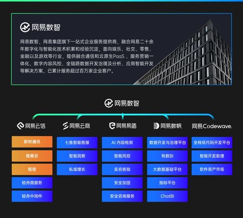 網易云信周梁偉 大模型在融合通信產品中的創(chuàng)新應用與安全實踐